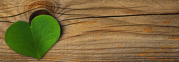 Stifts-Apotheke Kaufungen - Kontakt